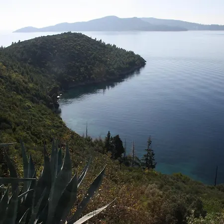 Lucija With Sea View 公寓 杜布罗夫尼克