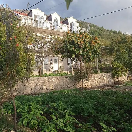 Apartment Lucija With Sea View