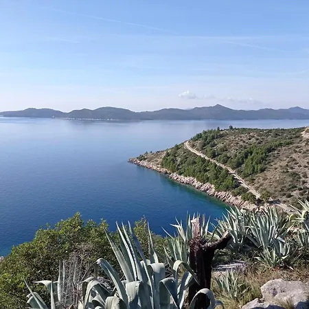Lucija With Sea View